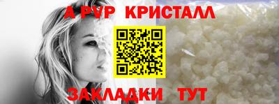 соль ск Новодвинск