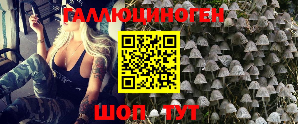 продажа наркотиков  Вход с VPN  Псилоцибиновые грибы Cubensis  Сосновоборск  Псилоцибиновые грибы Magic Shrooms 